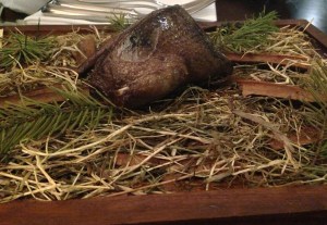 Pidgeon at Carter's Of Moseley Out In Brum