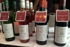 Out In Brum - Wine Fest 2014 - Indian Wine