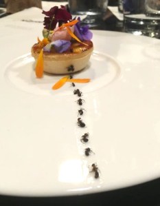 Out In Brum - The Wilderness - The Picnic 2009