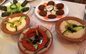 out-in-brum-syriana-starters