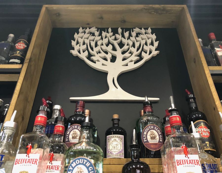 Out In Brum - City Social - Gin